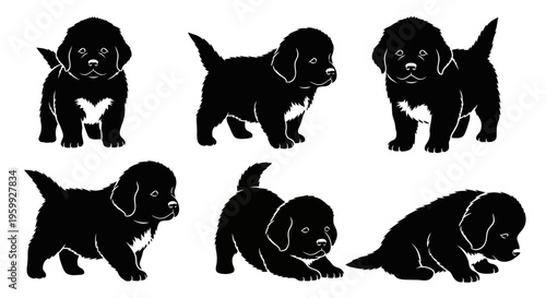 Set of six black silhouettes of cute puppies in different playful poses on a white background