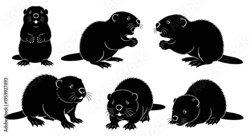 Set of six black silhouettes of groundhogs in various poses on a white background