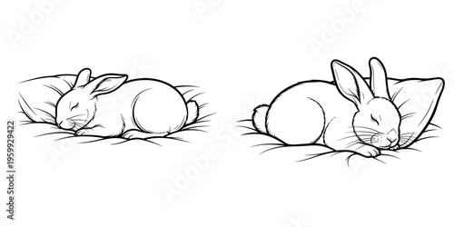 Bunny sleeping on soft blanket with eyes closed and peaceful expression  