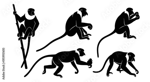 Silhouette Monkey Poses: Climbing, Sitting, Walking, Reaching - Black and White Vector Art