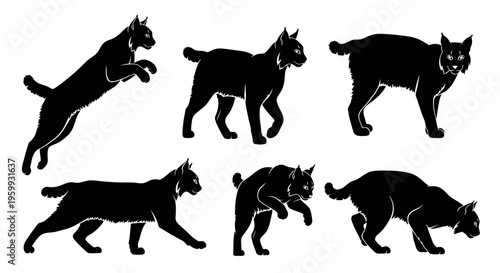 Silhouette of a Lynx in Various Poses: Jumping, Walking, Crouching, and Stalking