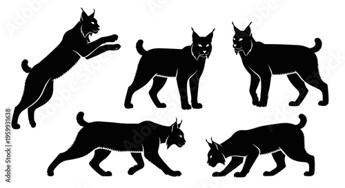 Silhouette of a lynx in various poses, jumping, walking, and stalking