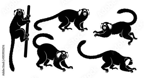 Silhouette of Marmosets in Various Poses: Climbing, Perching, and Leaping