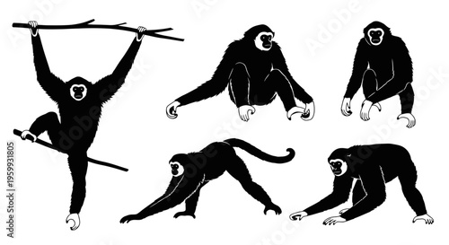 Silhouette Set of Six Gibbon Poses: Swinging, Sitting, Crawling, Standing