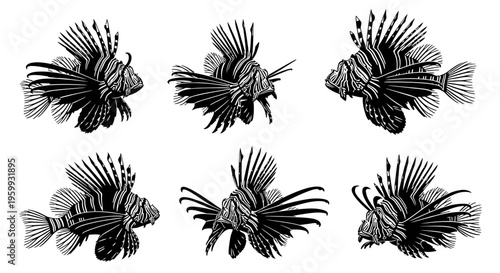 Six Black and White Illustrations of Lionfish in Various Poses