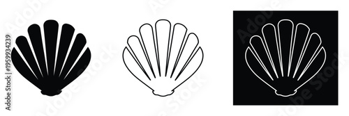 Scallop shell icon set in black and white for design and decoration