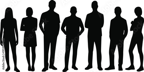 Population silhouettes for demographic and social research