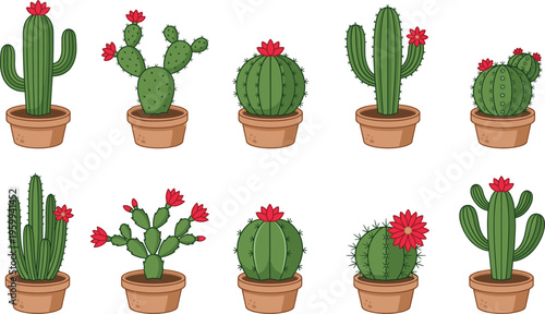 Cactus in pot set, flowering desert plants vector illustration for home garden decor,