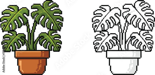 Pixel art illustration of a vibrant green Monstera deliciosa plant in a terracotta pot, alongside its black and white outline version, showcasing a popular houseplant.