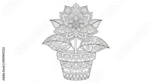 Detailed illustration of potted plant.