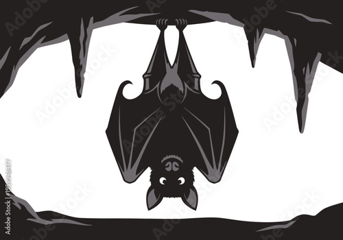 Black Bat Hanging Upside Down.