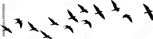 A flock of birds flying in a v formation against a white sky