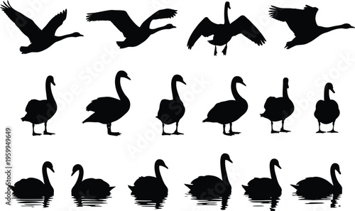 Black silhouettes of swans and abstract shapes on white background