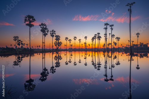 Tropical landscape with palm tree silhouettes reflecting in water during an orange and purple sunset