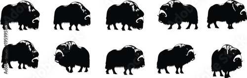 Silhouette of multiple camels in various poses against a white background showcasing their distinctive humps and body shapes in silhouette