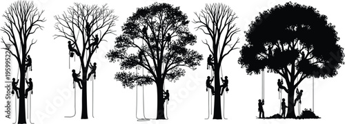 Silhouettes of people climbing trees with ropes, arborist work, recreational outdoor activity artwork, cad drawing flat vector illustration
