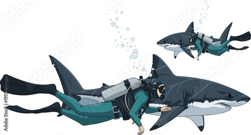 Underwater scuba divers swimming alongside great white sharks, marine wildlife adventure, ocean exploration, dangerous predator encounter, cad drawing flat vector illustration