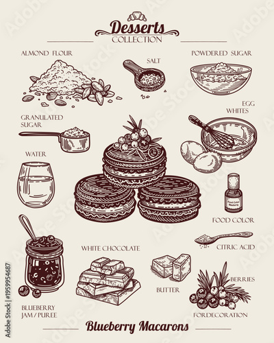 Blueberry Macarons Recipe. White chocolate, Egg Whites and Berries Jam, Almond Flour and Sugar. French Dessert. Line art Illustration, sketch style.