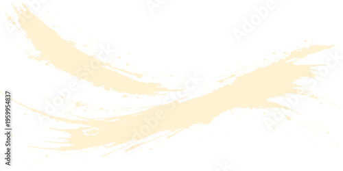 Vector grunge background with paint splashes illustration