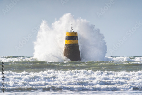 La vague contre la cardinale
