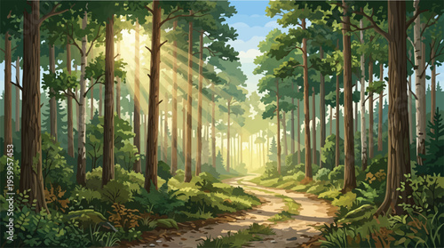 Sunlit forest trail vector illustration, scenic woodland path with morning sun rays, lush green pine trees and summer wilderness landscape background