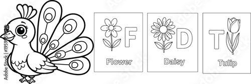 Peacock and flower alphabet coloring page for kids, educational worksheet with F for Flower D for Daisy and T for Tulip