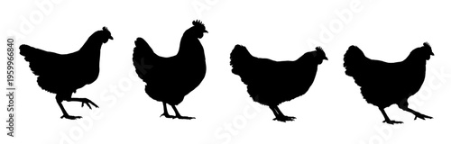 Hen silhouettes set, vector illustration