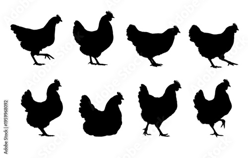 Hen silhouettes set, vector illustration