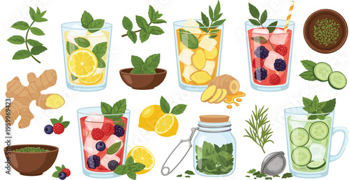 Herbal detox drinks vector set with mint, ginger, lemon and berry infusions, healthy natural beverage collection isolated on white background illustration