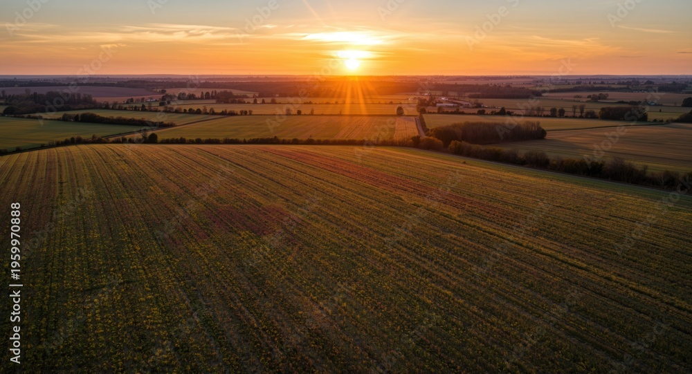 Fototapeta premium Expansive farmland with colorful crops seen from above during a glowing sunset