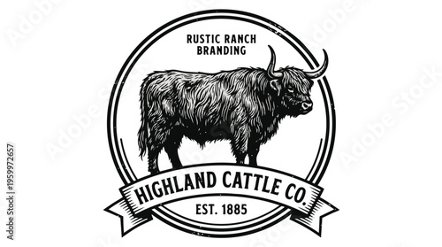 Highland cattle company logo with rustic branding and cow illustration