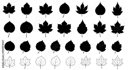 Collection of various leaf silhouettes and outlines on white background