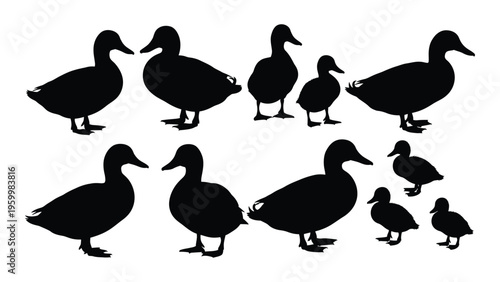 A group of ducks and ducklings standing together