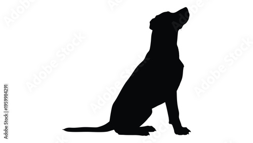 A black silhouette of a sitting dog