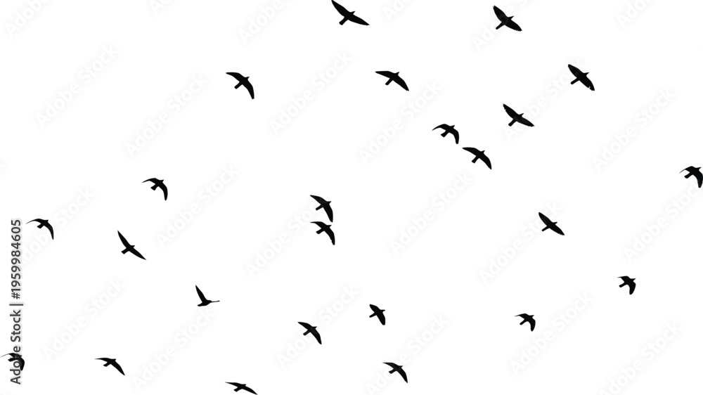 Fototapeta premium A flock of birds in flight on a white background