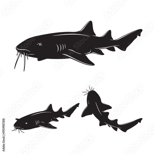 Nurse Shark Three Pose Resting Barbels Silhouette Vector Set