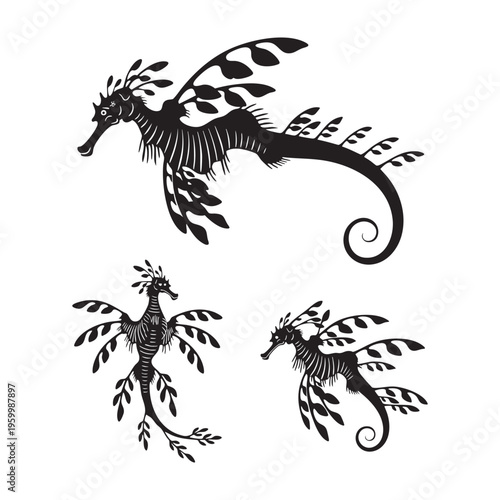 Leafy Sea Dragon Three Pose Appendages Silhouette Vector Bundle