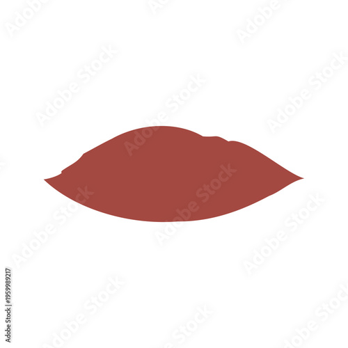 A single reddish brown lipstick swatch appears on a clean white background.