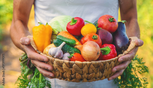 A man farmer holds vegetables in his hands. Selective focus.