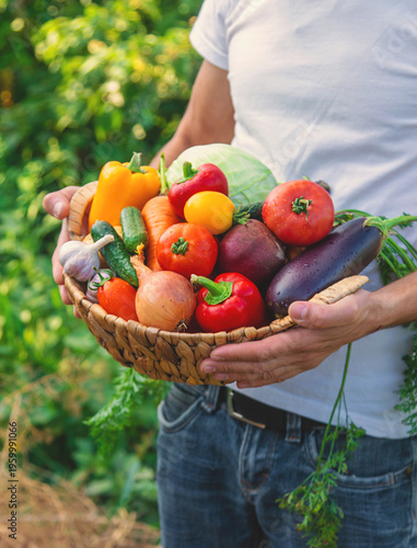 A man farmer holds vegetables in his hands. Selective focus.