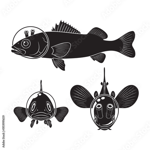 Barreleye Fish Three Pose Dome Eyes Silhouette Vector Collection