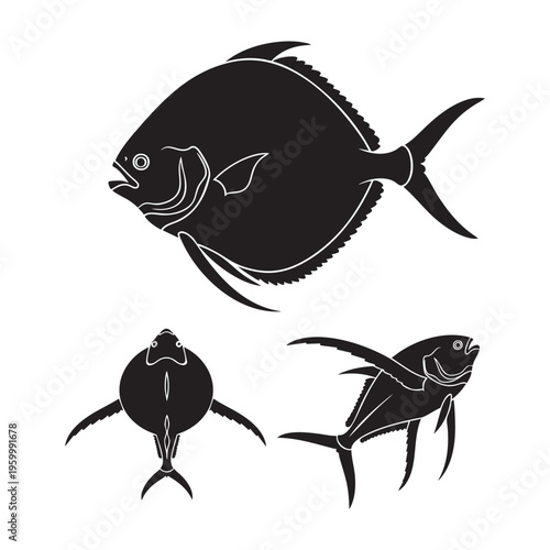 Opah Three Pose Round Disc Sickle Fins Silhouette Vector Set