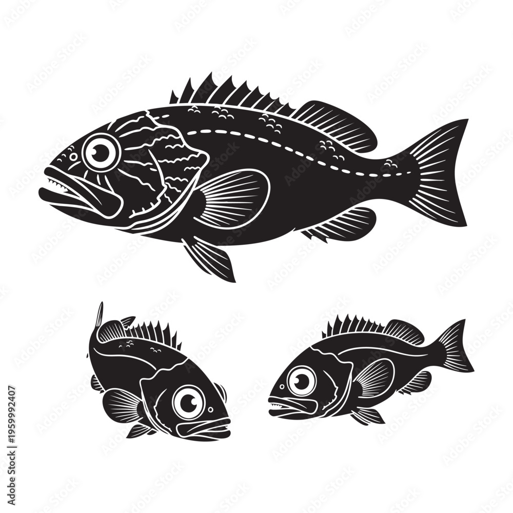 Fototapeta premium Orange Roughy Three Pose Deep Sea Oval Silhouette Vector Bundle