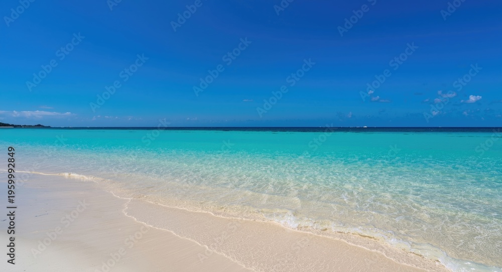 Obraz premium Relaxed coastal scene highlighting fine white sand and clear turquoise ocean under vivid blue sky