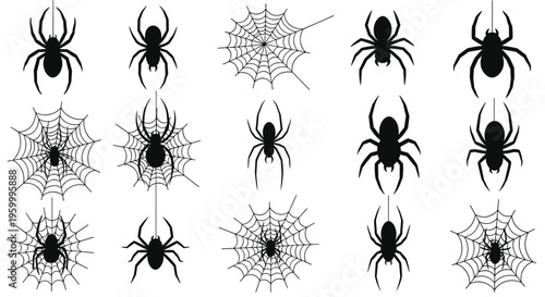 Compilation of black spider silhouettes and intricate spider web designs in different shapes and sizes for spooky themes or biology projects.