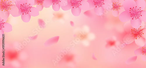 Pink cherry blossom flower branches, buds and leaves background.