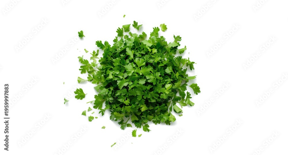 Naklejka premium Fresh parsley chopped into small pieces on white background