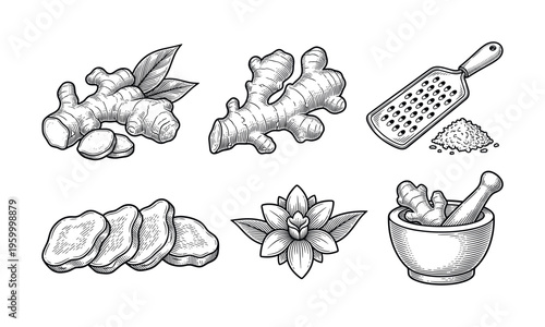 Vintage ginger set with hand drawn root, slice, flower, grater, and mortar. Engraving style illustration for food packaging, menus, spice labels, and healthy ingredient design.