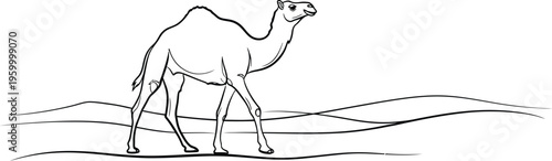 Camel walking on sand dunes in desert landscape illustration