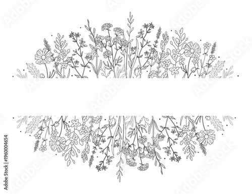 Hand drawn wildflower split border frame with top and bottom botanical bands and blank center space for text. Line art meadow design for wedding cards, invitations, logos and nature stationery project